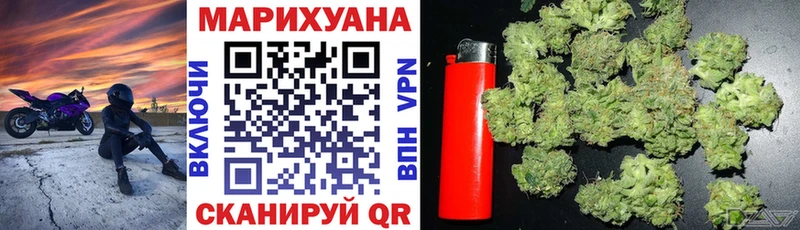 Конопля OG Kush Венёв